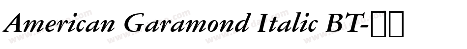 American Garamond Italic BT字体转换